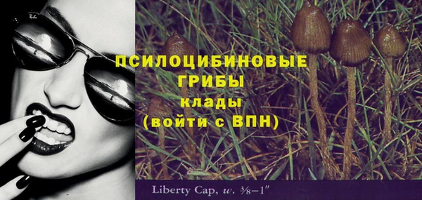 хмурый Арсеньев