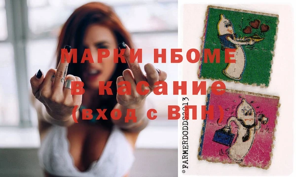 хмурый Арсеньев