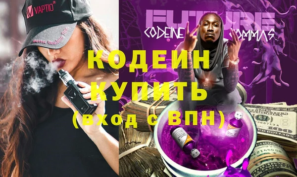 хмурый Арсеньев
