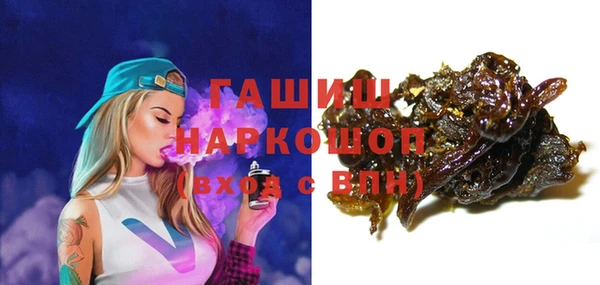 хмурый Арсеньев