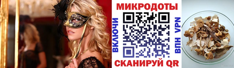 где можно купить Ельня Псилоцибиновые грибы мицелий
