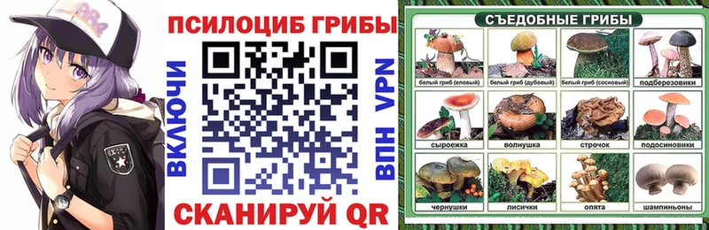 Псилоцибиновые грибы прущие грибы Ельня